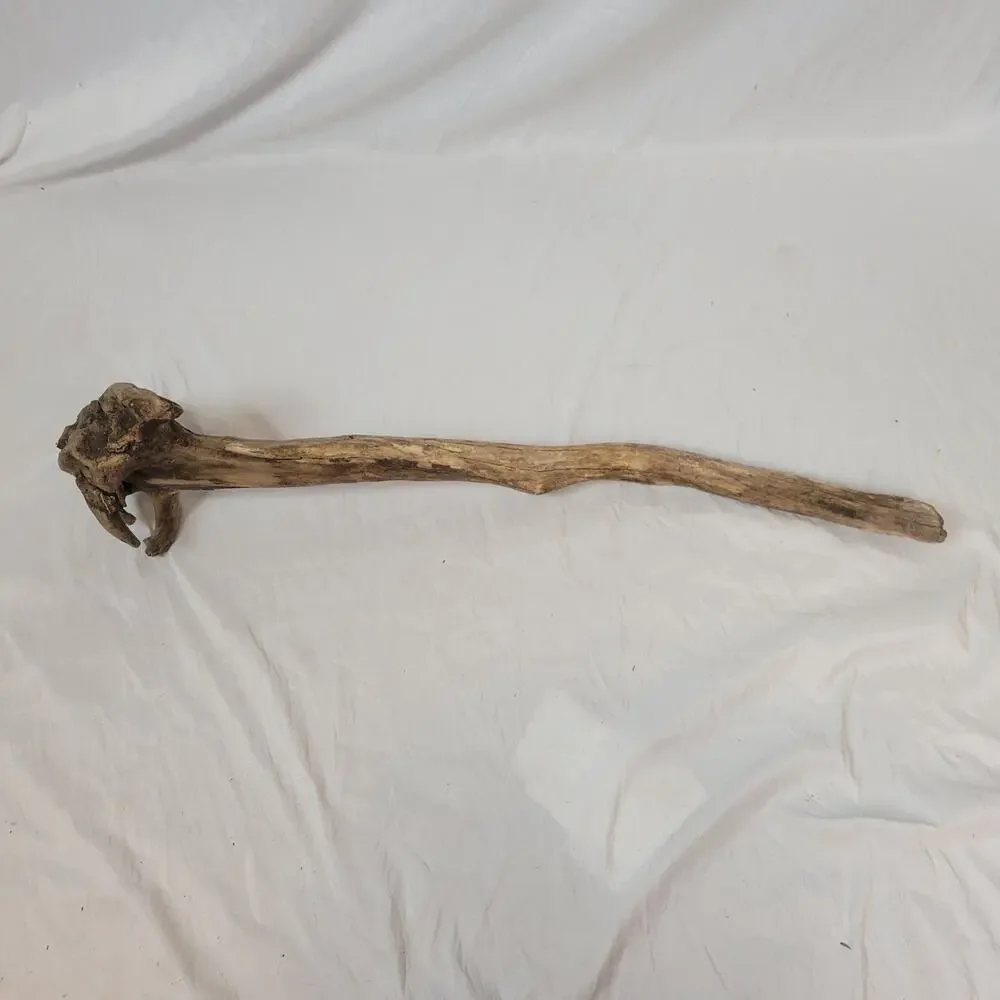 Ohio River Driftwood 37